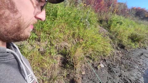 October 4-6, 2025 - Big River Beaver Trapping