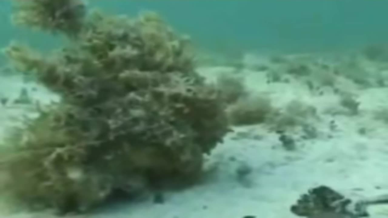 🛸😱 Mysterious Lights Over Oceania! | TheTruthAbove