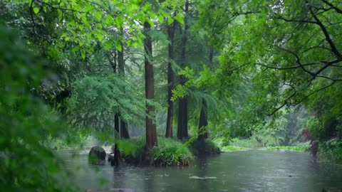 The beautiful little river is raining