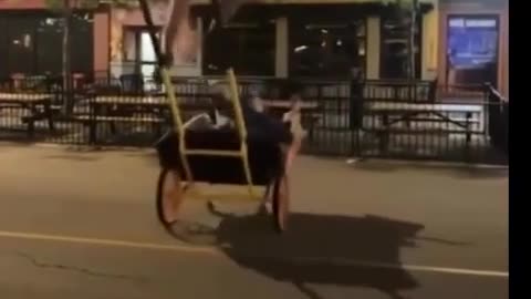 🤣😂 The Funniest Holiday Antics You've Ever Seen! | FunFM