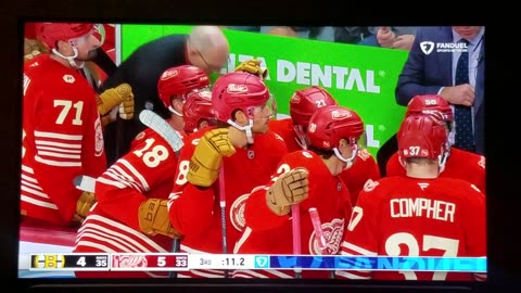 BOS vs DET - Red Wings Win 5-4