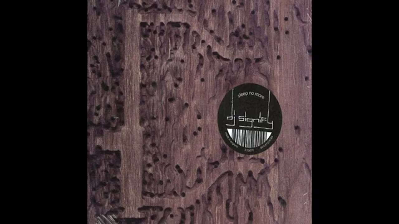 DJ SIGNIFY - Sleep No More