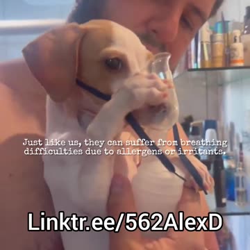 Dogs Can Have Asthma Too? Shocking Truth Revealed!