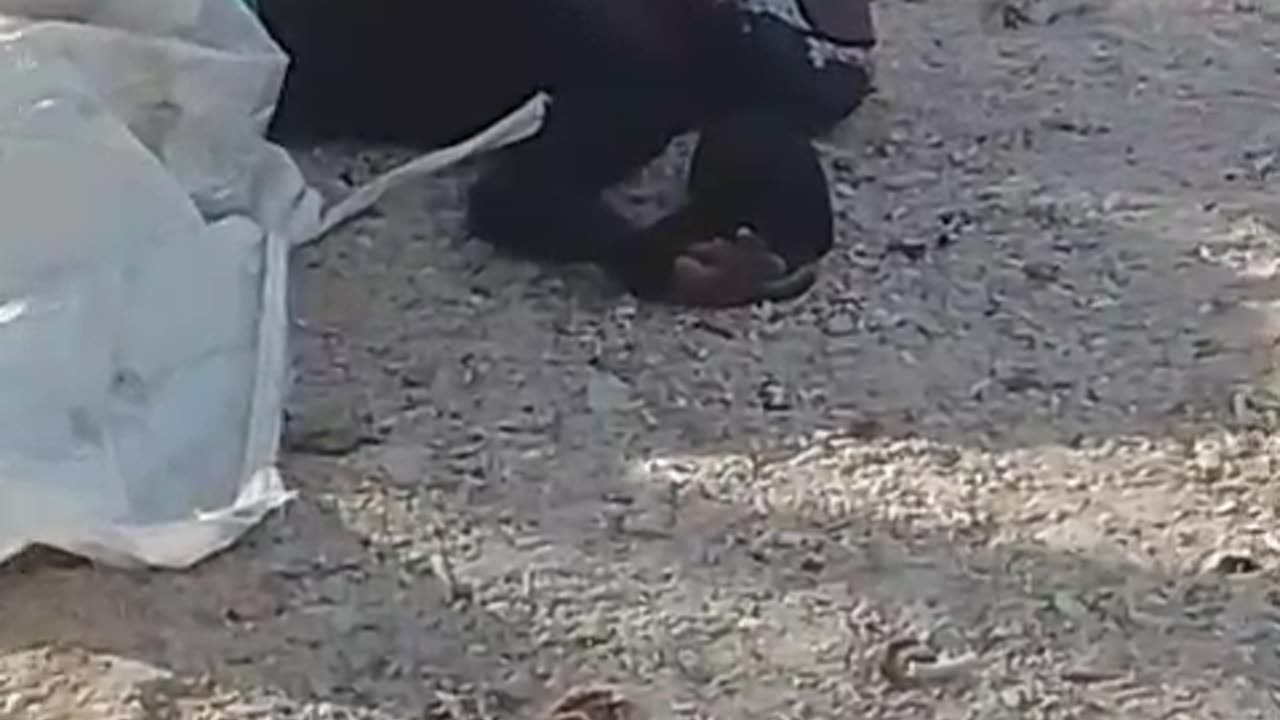 Ataque a bala desde moto acuática: matan a hombre en playa de Barú