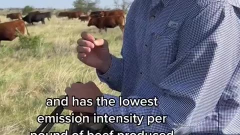 US beef production is as elite as it gets. It produces 18% of the world’s beef with only 6%