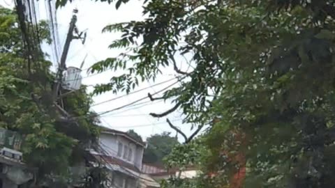 Curve Road - Forest Hill Drive in Q.C., Philippines