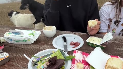 Humping Dogs Ruin Breakfast
