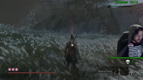 Sekiro: Shadows Don't Die (Deathless Attempt)