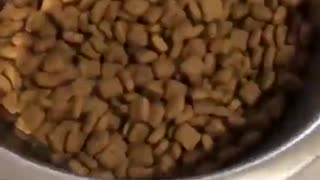 Wants Freshly Prepared