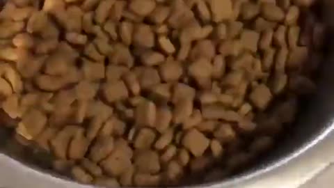 Wants Freshly Prepared