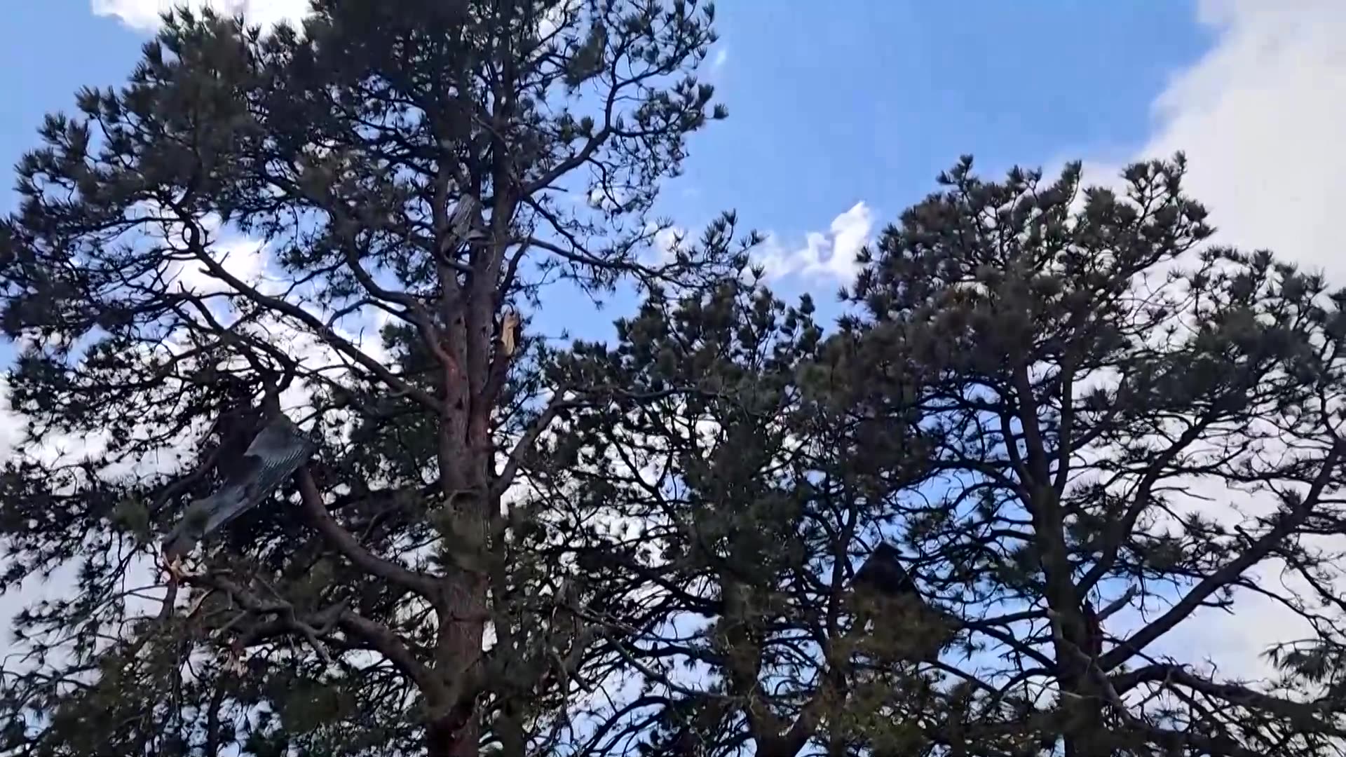 Tornado causes damage after tearing through Colorado town