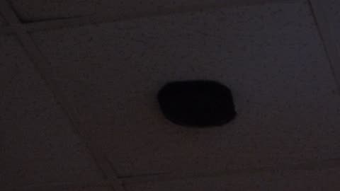 Speaker in restaurant ceiling