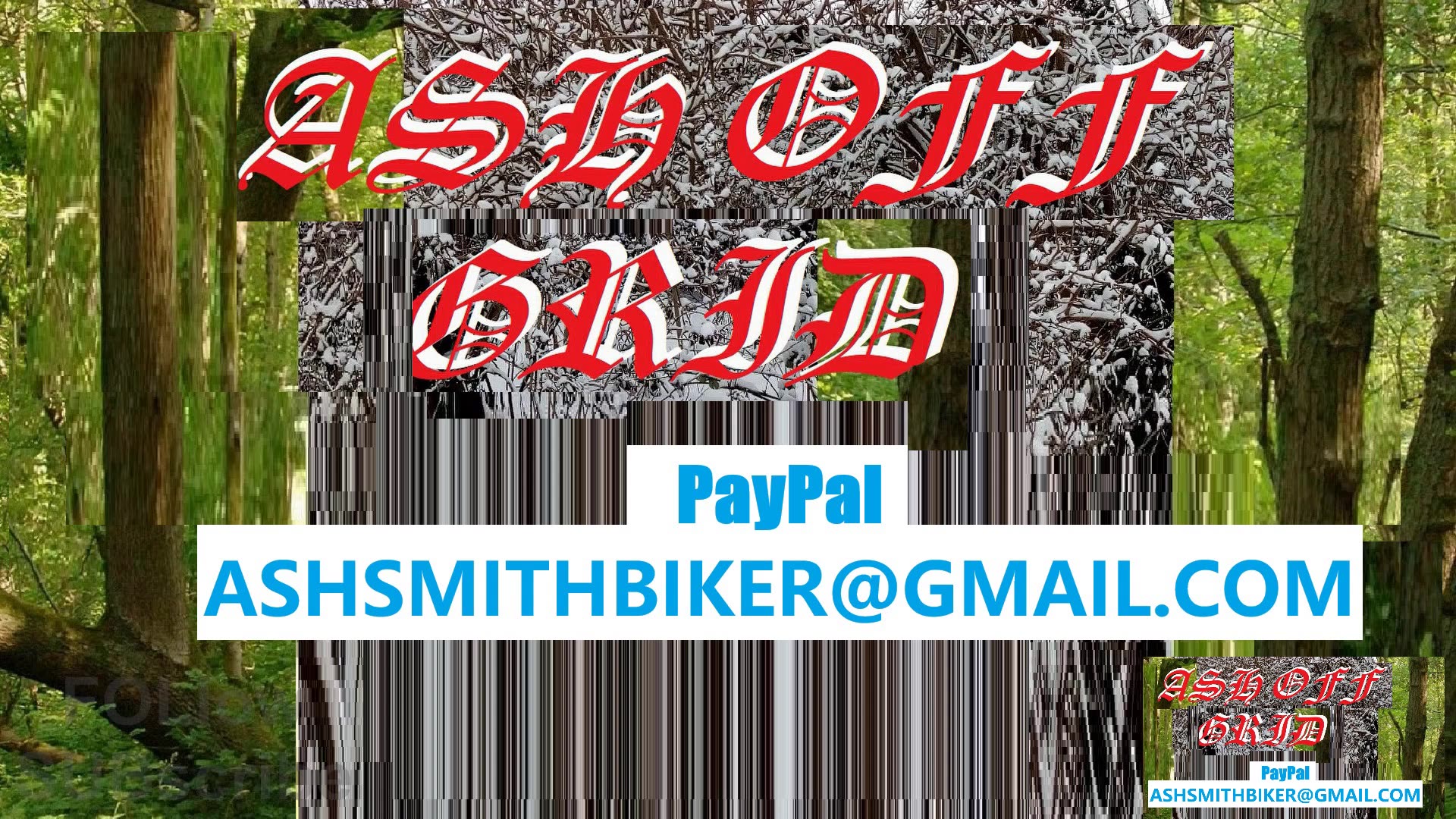 not, #gay , honest, salad, sophy ellis bexter (2)