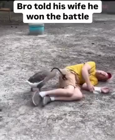 Bro Told His Wife He Won The Battle