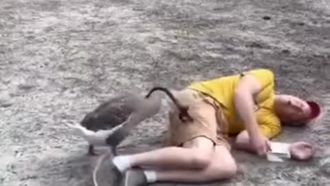 Bro Told His Wife He Won The Battle