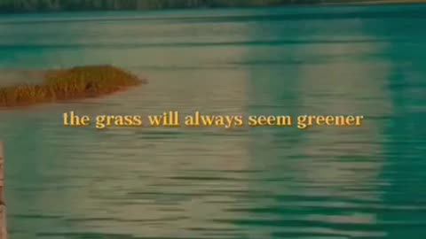 The truth is no one has it all, but everyone has enough. Motivational video