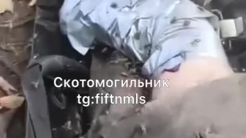 War in ukraine