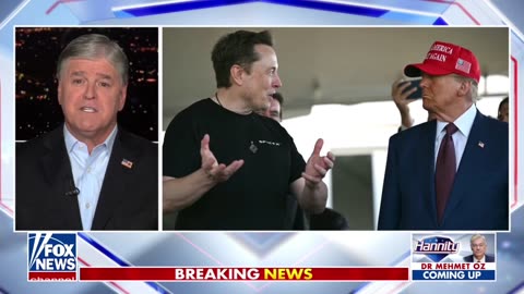 LEFTIST MEDIA MOB IS ELATED OVER TRUMP-MUSK FUED