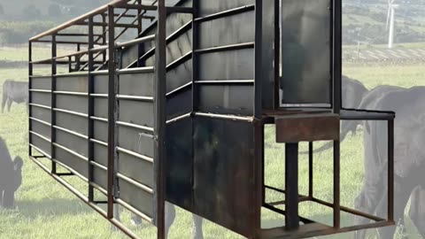 American-Made Loading Chute