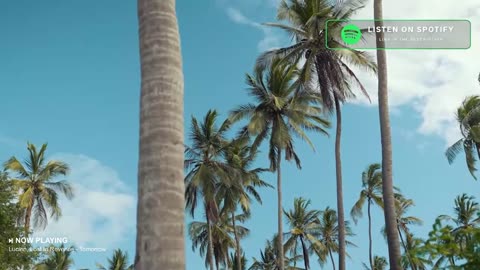 The Good Life Radio • 24/7 Live Radio | Best Relax House, Chillout, Study, Running, Gym, Happy Music