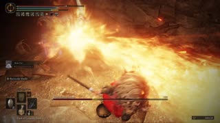 Elden Ring NG+1 | Black Knife Assassin boss in Sage's Cave w/Mimic Tear #eldenring #eldenringbosses