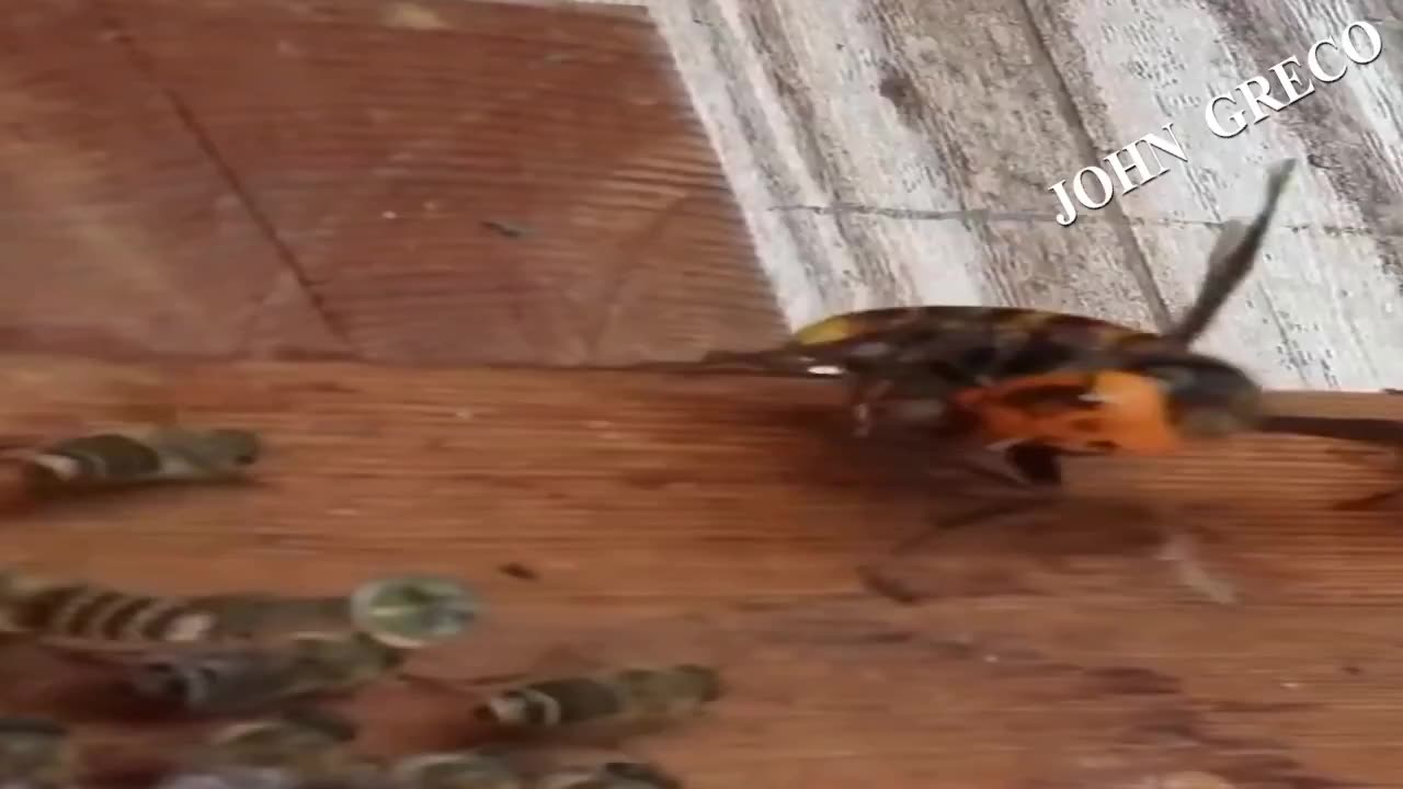 ⏰⏰⏰ ''#Ισχυς_εν_τη_Ενωσει'' ⏰⏰⏰