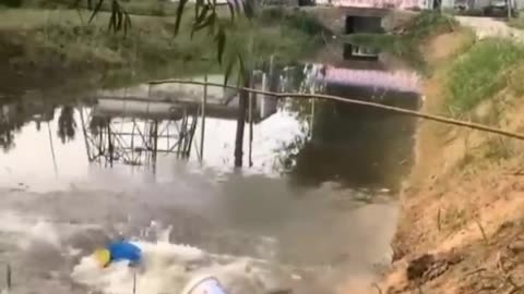 collection of funny videos