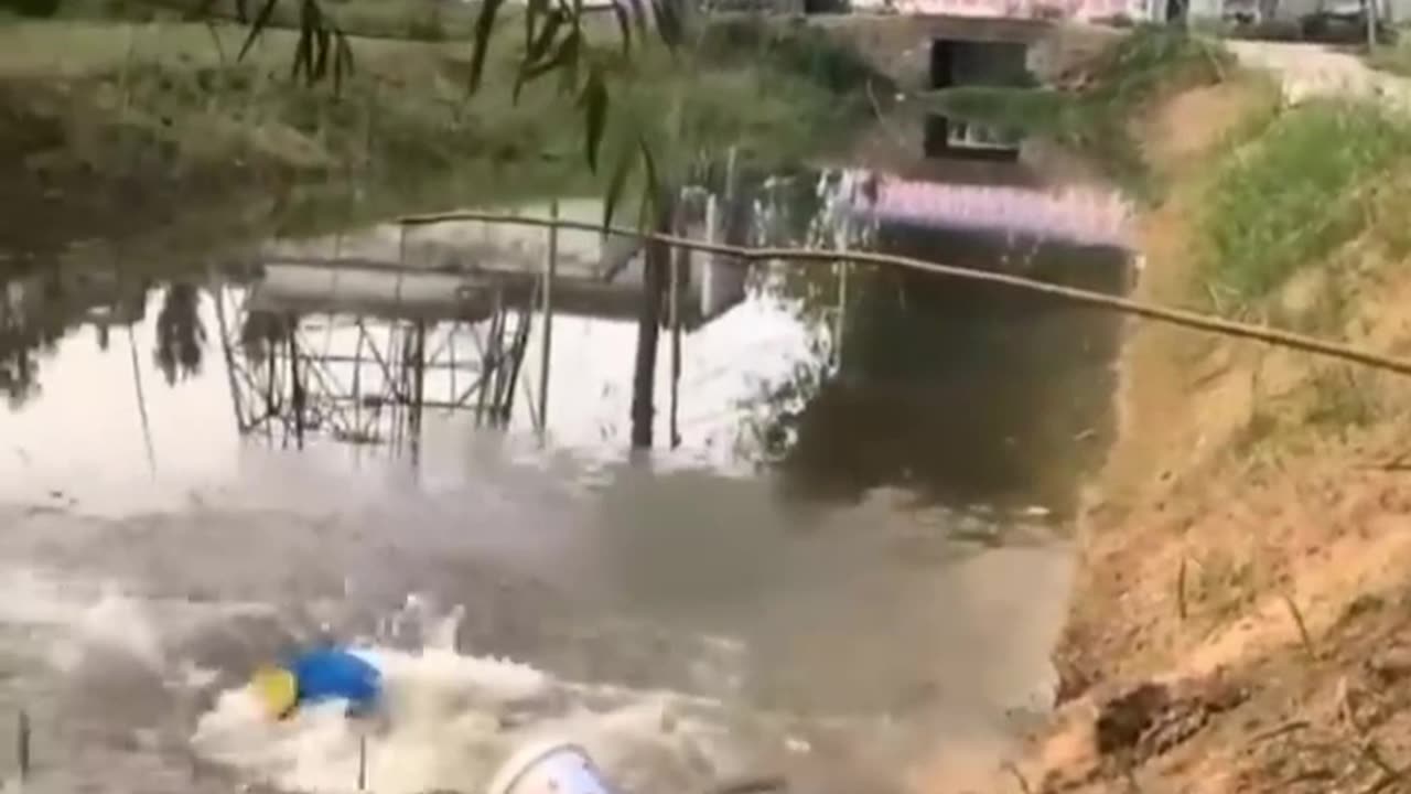 collection of funny videos