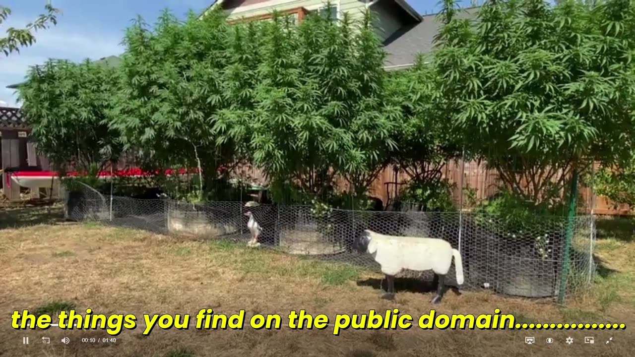 things you find on the public domain