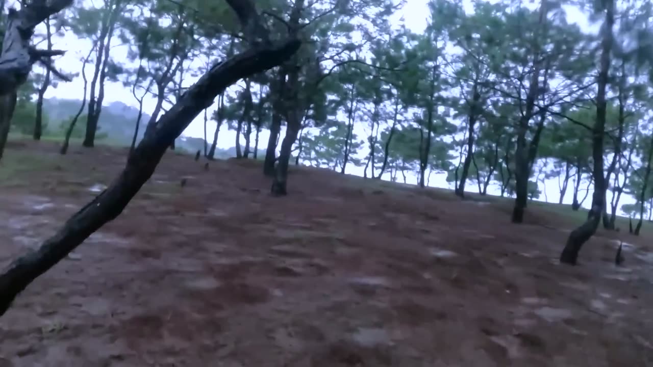 FULL Survival Guide from an 18-Year-Old Girl – 50 Days in the Forest with Ultimate Part21