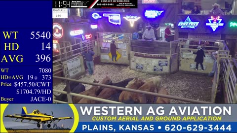 7/29/2025 - Cattle Auction- Beaver County Stockyards