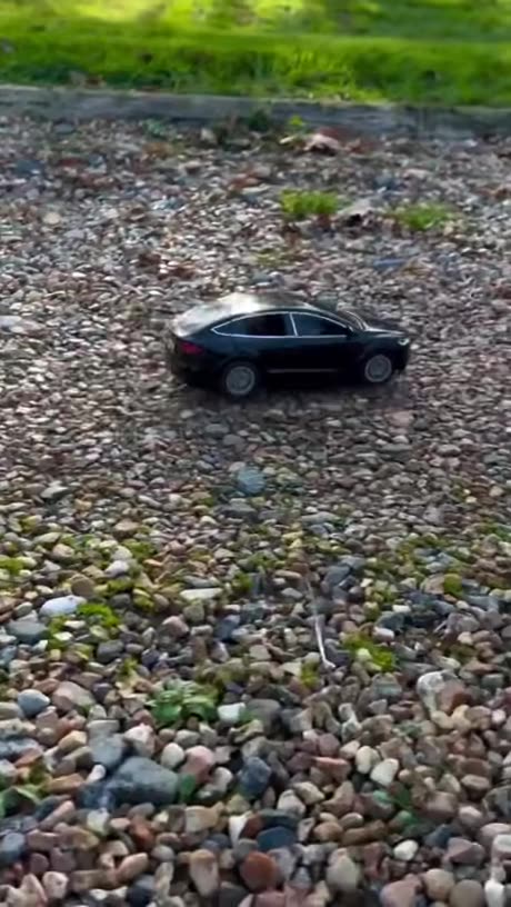 Short People Driving Skills Yes we Can