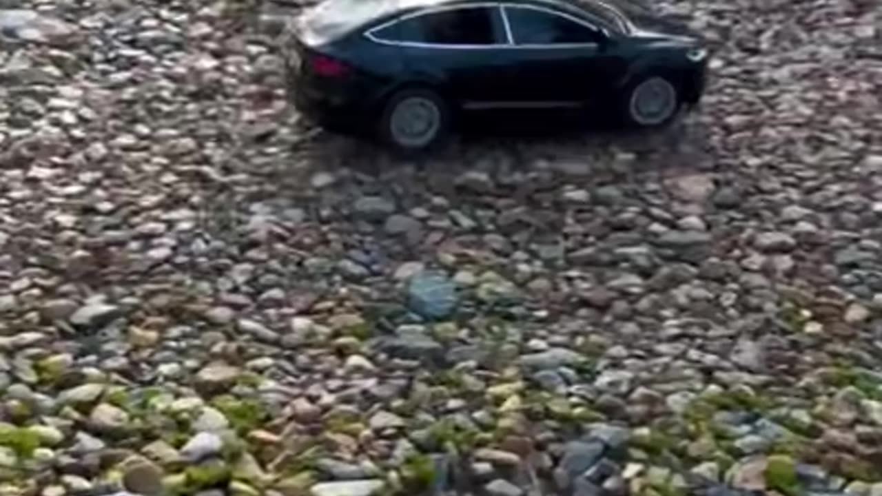 Short People Driving Skills Yes we Can