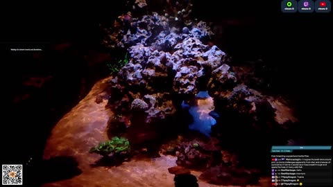 24/7 Real Live Reef Stream