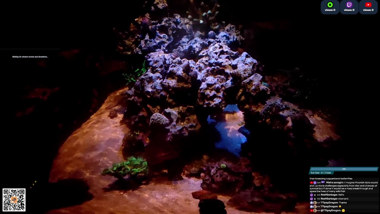 24/7 Real Live Reef Stream
