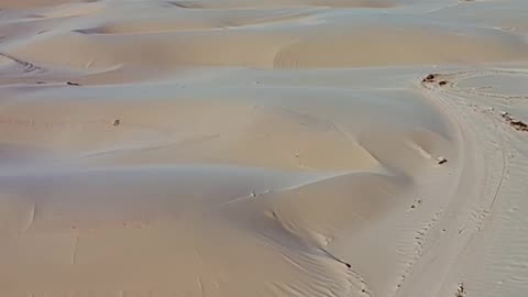 Desert Mirage 🌵✨ | Surreal 10s Short You Must See