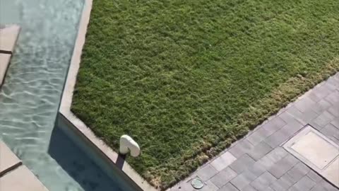 Charlie Kirk shooting site covered with water watch