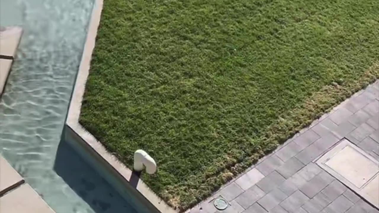 Charlie Kirk shooting site covered with water watch