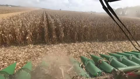 JOHN DEERE 16 Row Folding Corn Head C16F