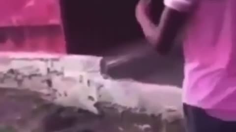 😂🤯 Bro Reacted Like a Pro! | FunFM