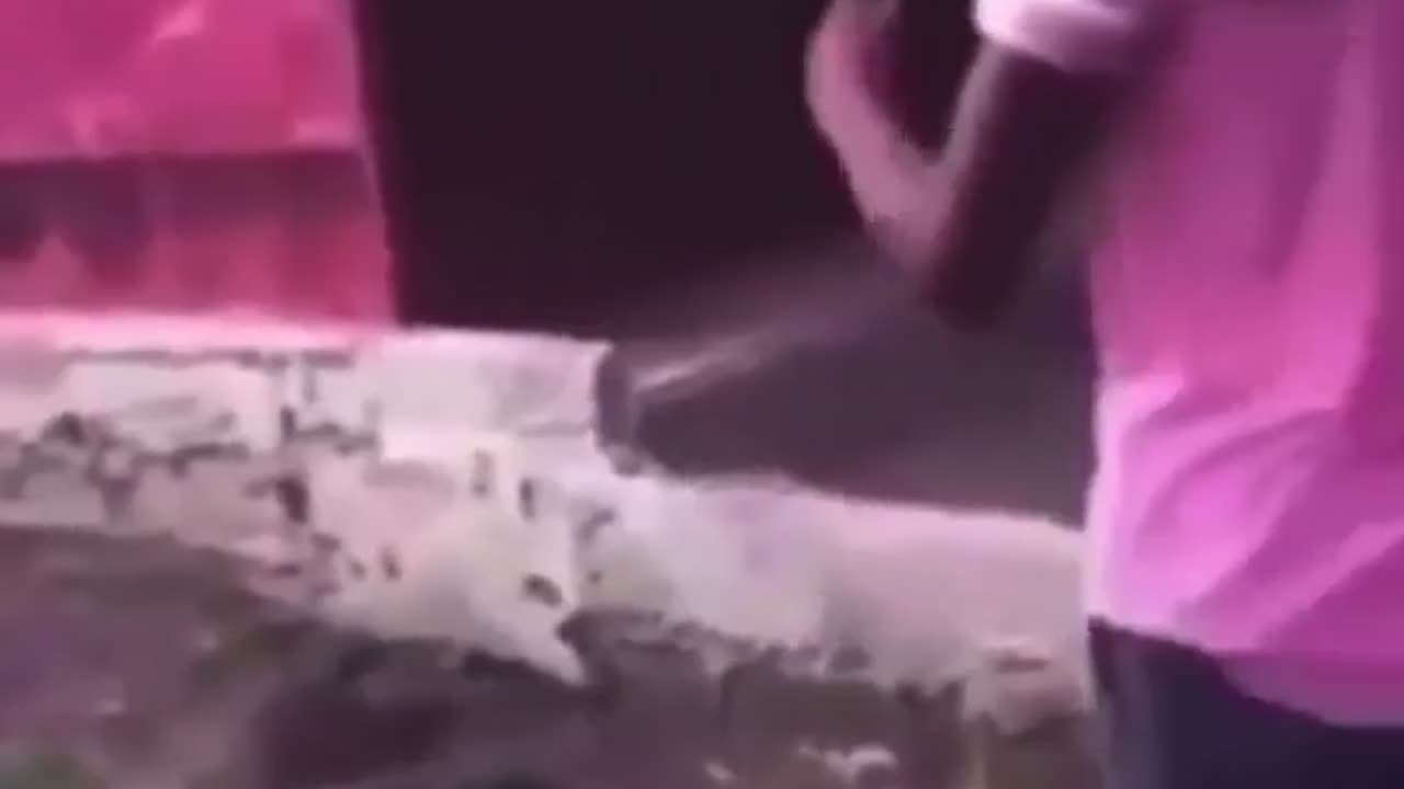 😂🤯 Bro Reacted Like a Pro! | FunFM