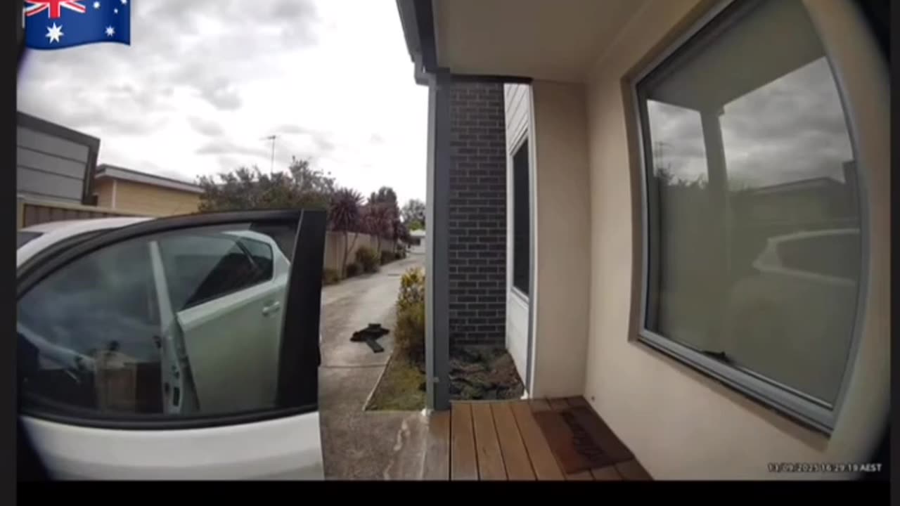 🐦😱 Don't Mess with Aussies: Epic Magpie Attack | FunFM
