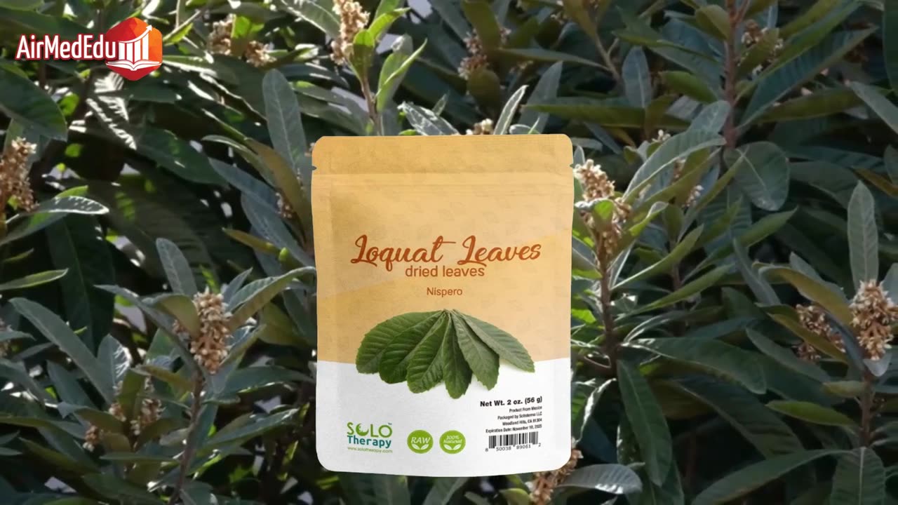 Nutrients in Loquat Leaves and Their Action on Specific Organs