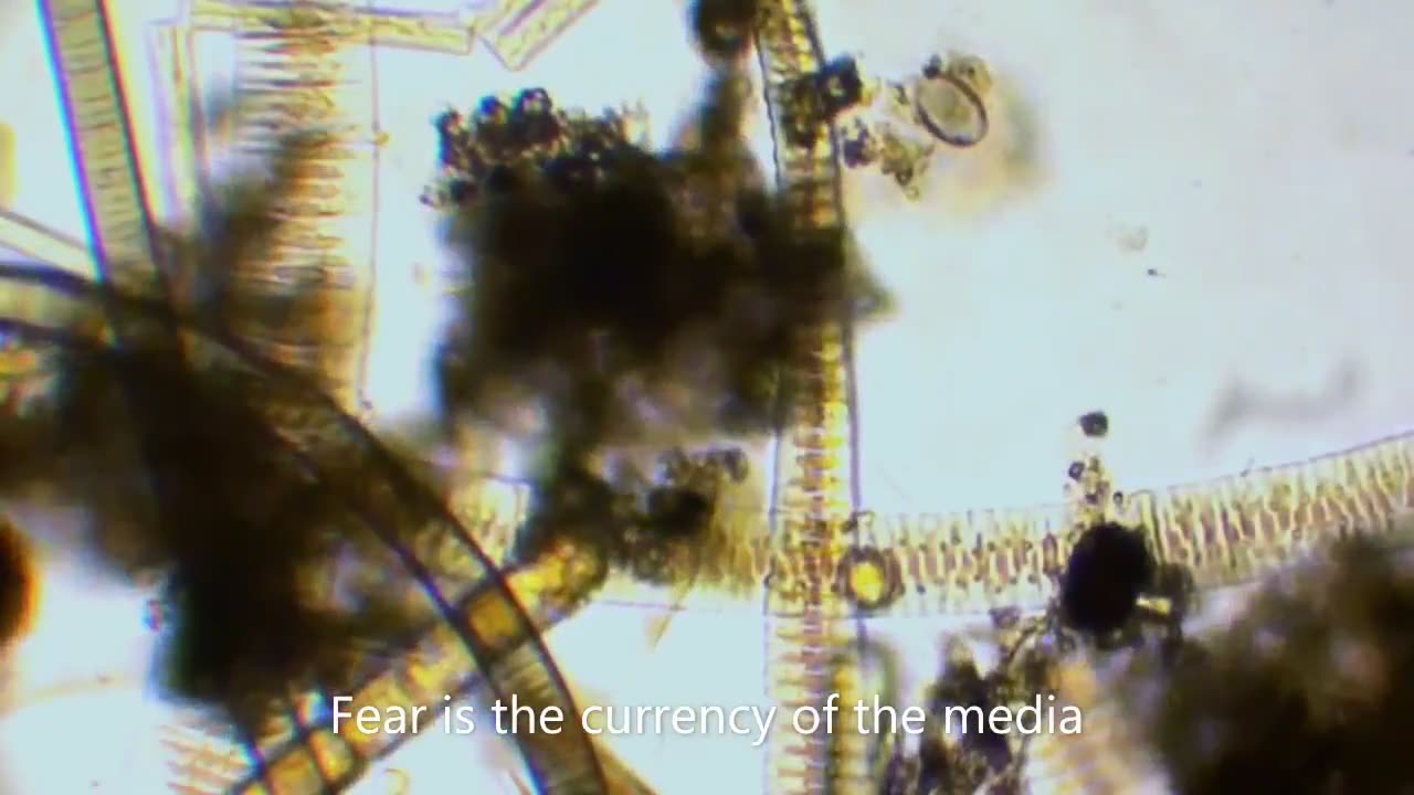 The Truth about Bacteria || Parasites || Viruses 🦠🦠🦠