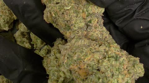 THC-A Flower Cereal Milk