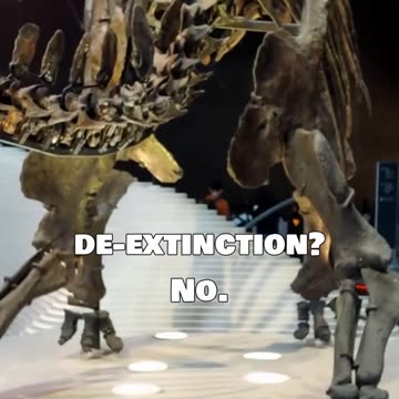 Fake Voters, Sci-Fi Wolves & Market Mayhem: What’s Real?