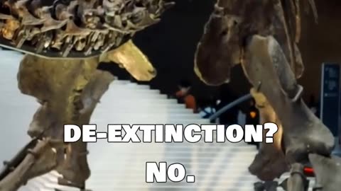 Fake Voters, Sci-Fi Wolves & Market Mayhem: What’s Real?
