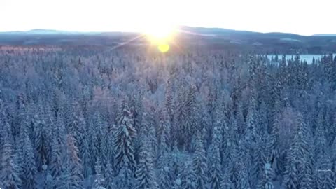 Life in northern Sweden