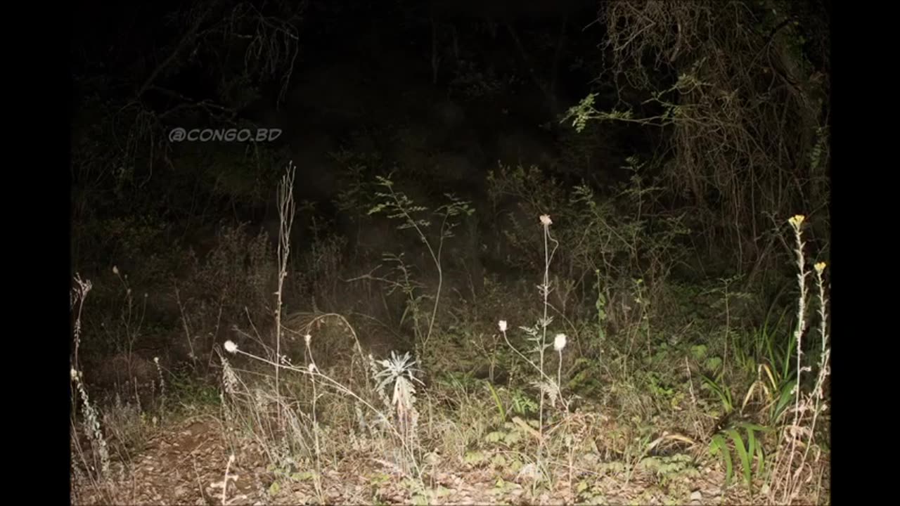 Ouverture du portail au Canada