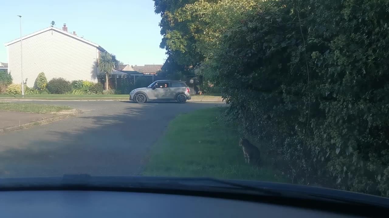 A 22 Year Catch 22 Complete Abuse of Power
